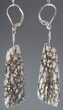 Black Spiderweb Dinosaur Bone Earrings #5253-4